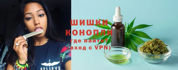 дживик Баксан